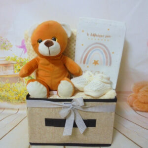 Baby gift box Teddy bear (neutral)