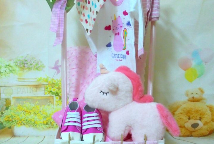 Premium gift baby's little closet Unicorn