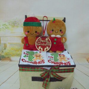 Δίδυμα πρώτα μου Χριστούγεννα Twins gift box